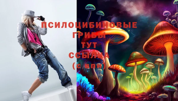ГАЛЛЮЦИНОГЕННЫЕ ГРИБЫ Алексеевка