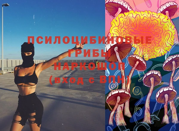 мяу мяу мука Алексин