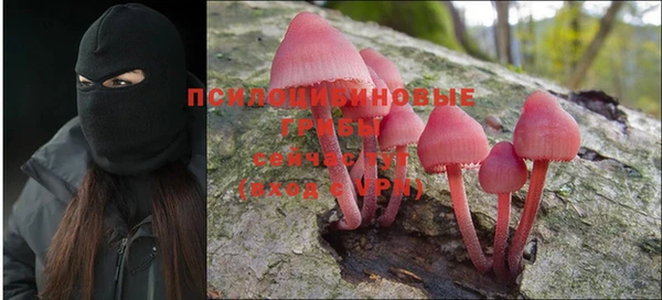 ГАЛЛЮЦИНОГЕННЫЕ ГРИБЫ Алексеевка